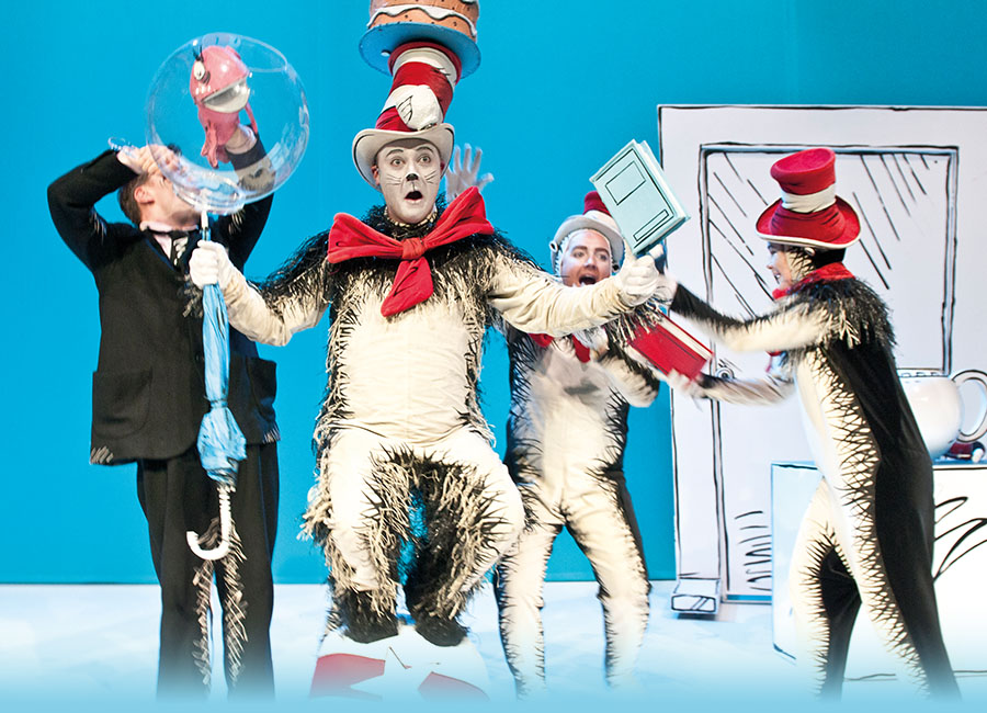 the cat in the hat artwork